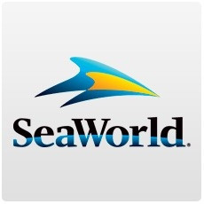 SeaWorld Orlando - 1 visita
